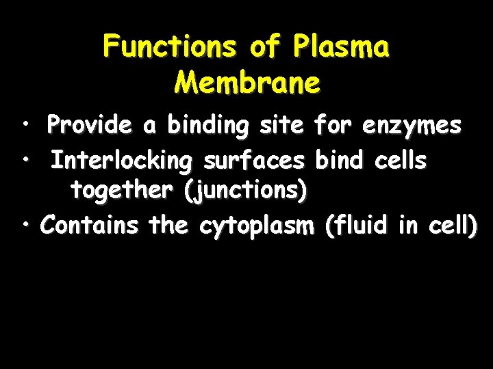 Functions of Plasma Membrane • Provide a binding site for enzymes • Interlocking surfaces