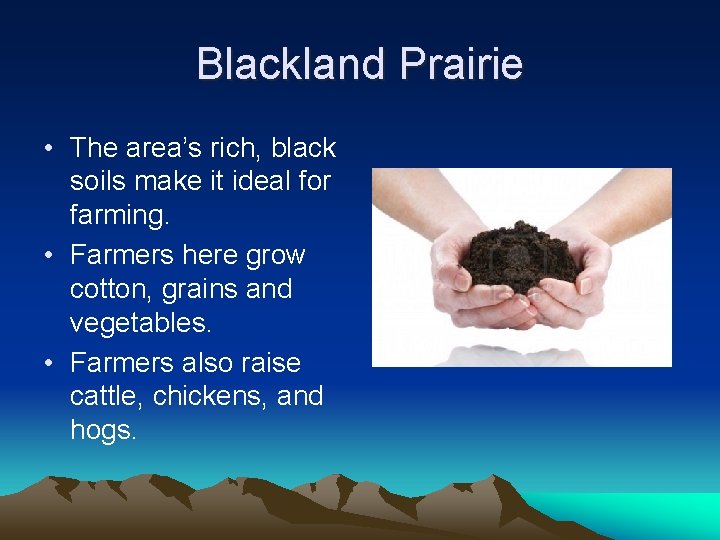 Blackland Prairie • The area’s rich, black soils make it ideal for farming. •