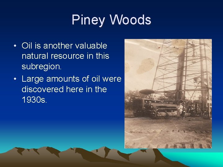 Piney Woods • Oil is another valuable natural resource in this subregion. • Large