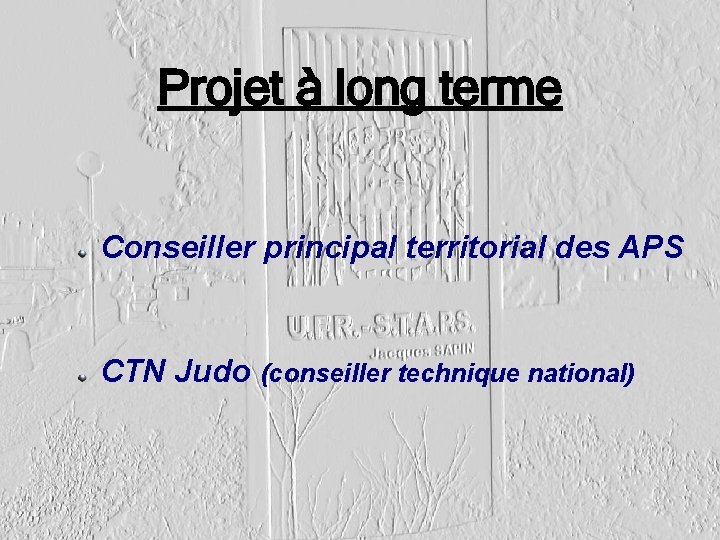 Projet à long terme Conseiller principal territorial des APS CTN Judo (conseiller technique national)