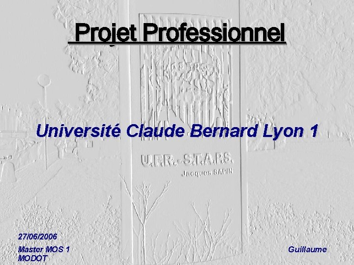 Projet Professionnel Université Claude Bernard Lyon 1 27/06/2006 Master MOS 1 MODOT Guillaume 