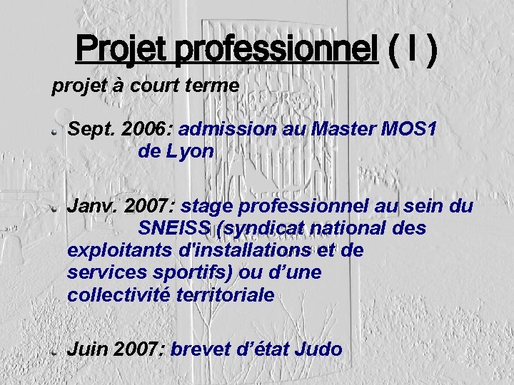 Projet professionnel ( I ) projet à court terme Sept. 2006: admission au Master