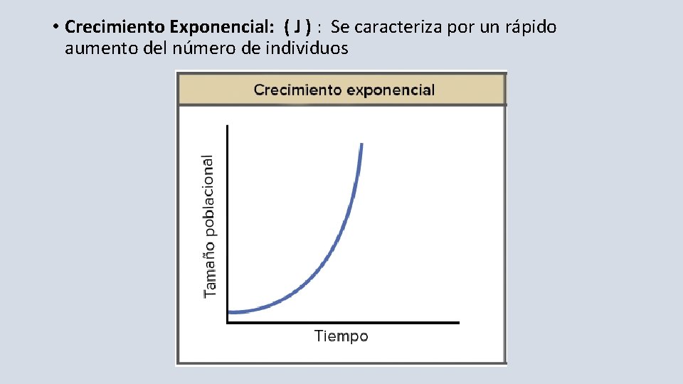  • Crecimiento Exponencial: ( J ) : Se caracteriza por un rápido aumento