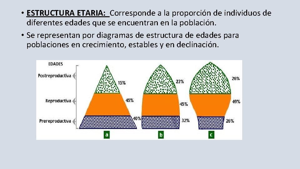  • ESTRUCTURA ETARIA: Corresponde a la proporción de individuos de diferentes edades que