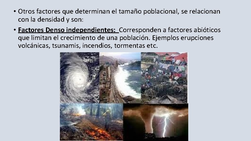  • Otros factores que determinan el tamaño poblacional, se relacionan con la densidad