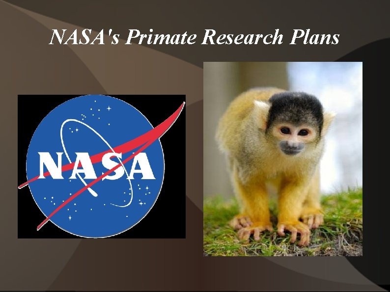 NASA's Primate Research Plans 