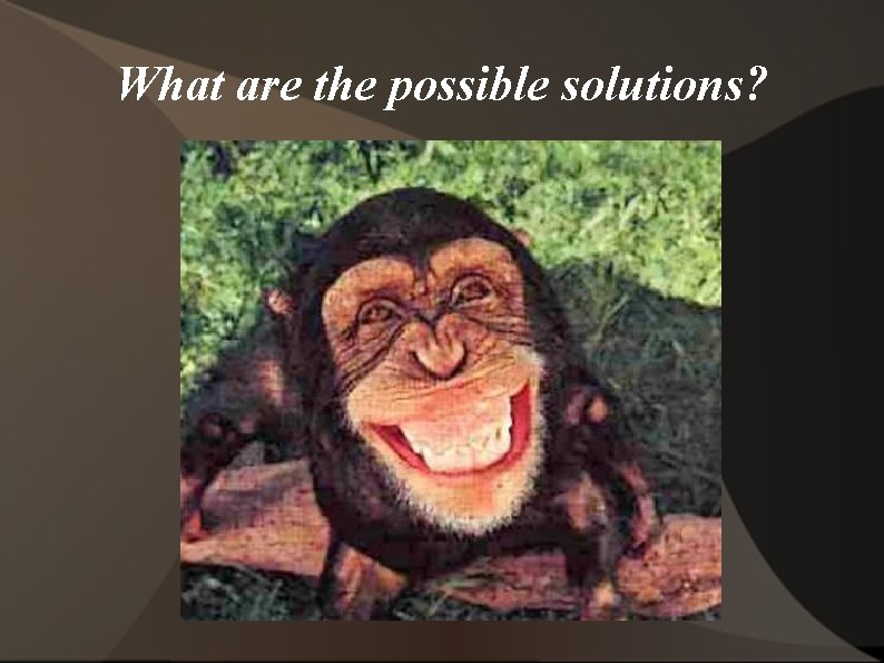 What are the possible solutions? 