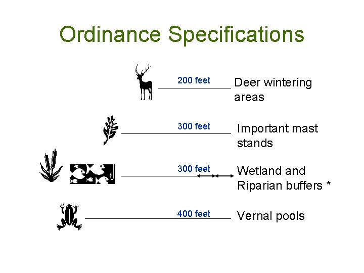 Ordinance Specifications 200 feet Deer wintering areas 300 feet Important mast stands 300 feet