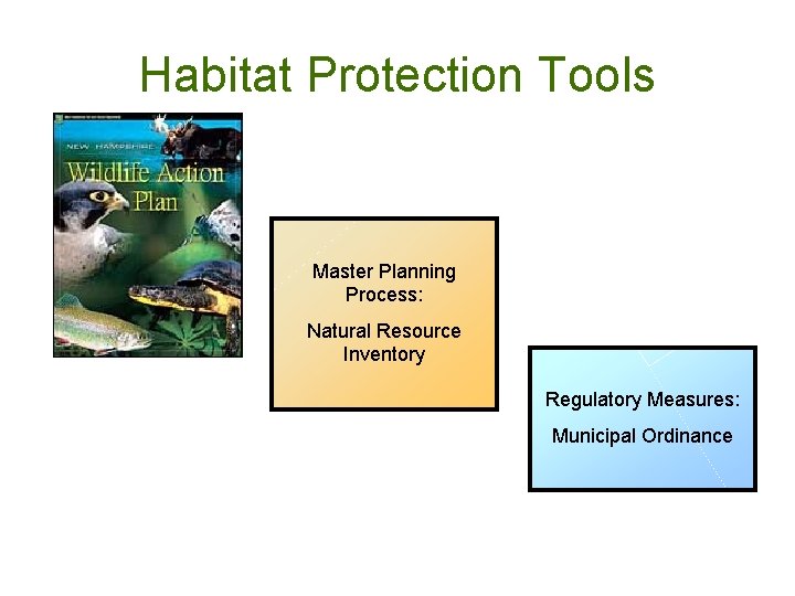 Habitat Protection Tools Master Planning Process: Natural Resource Inventory Regulatory Measures: Municipal Ordinance 