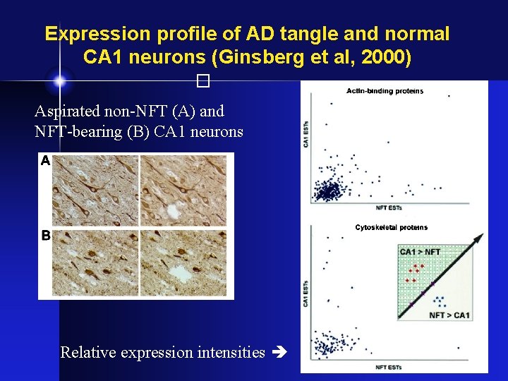 Expression profile of AD tangle and normal CA 1 neurons (Ginsberg et al, 2000)