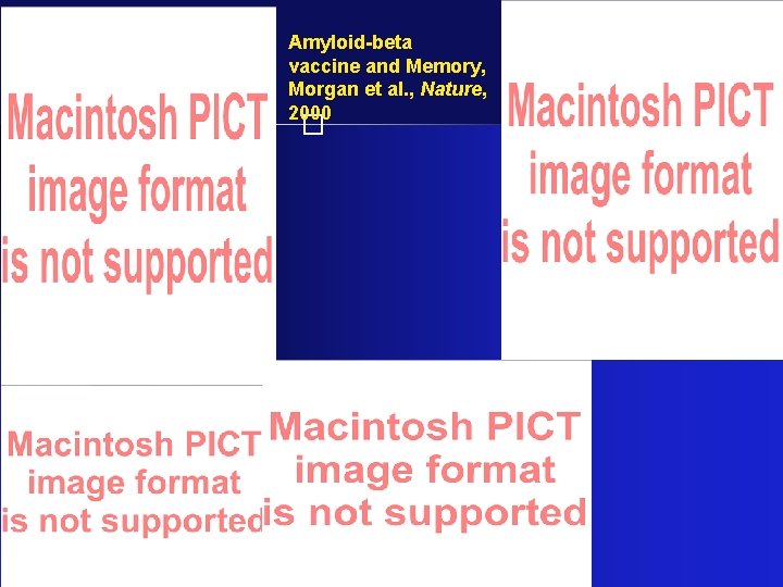 Amyloid-beta vaccine and Memory, Morgan et al. , Nature, 2000 � 