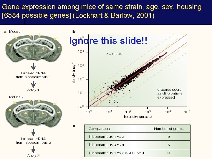 Gene expression among mice of same strain, age, sex, housing [6584 possible genes] (Lockhart