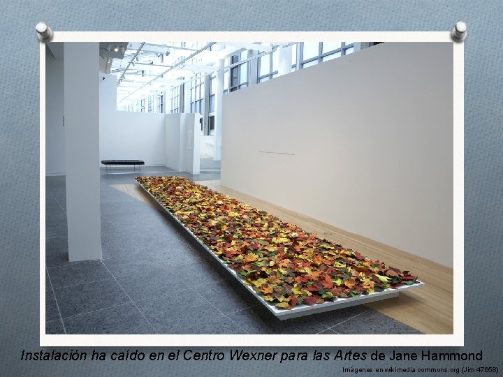 Instalación ha caído en el Centro Wexner para las Artes de Jane Hammond Imágenes