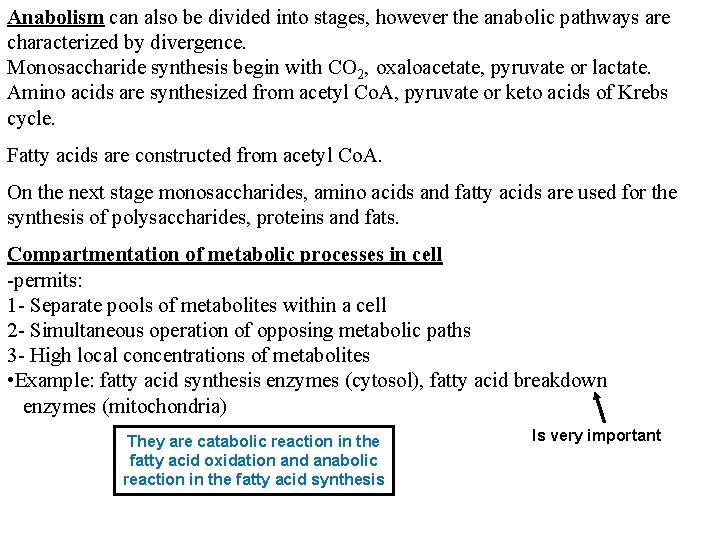 Anabolism can also be divided into stages, however the anabolic pathways are characterized by