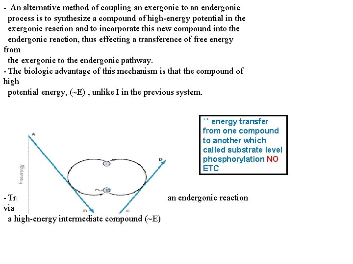 - An alternative method of coupling an exergonic to an endergonic process is to