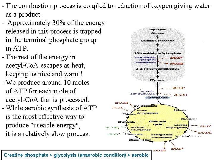 - The combustion process is coupled to reduction of oxygen giving water as a