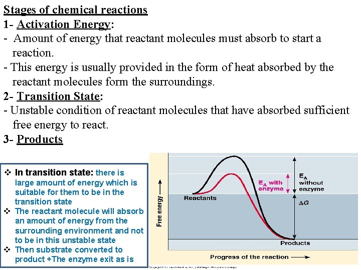 Stages of chemical reactions 1 - Activation Energy: - Amount of energy that reactant