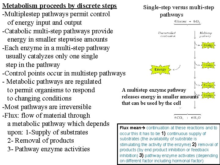 Metabolism proceeds by discrete steps Single-step versus multi-step -Multiplestep pathways permit control pathways of