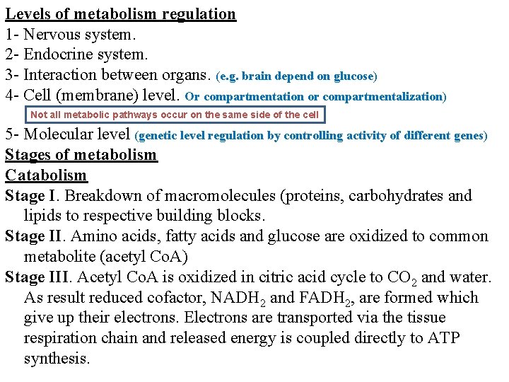 Levels of metabolism regulation 1 - Nervous system. 2 - Endocrine system. 3 -