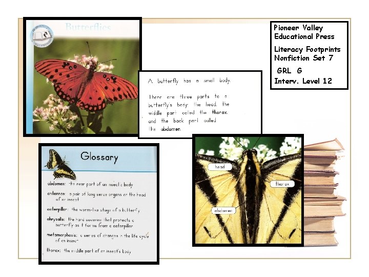 Pioneer Valley Educational Press Literacy Footprints Nonfiction Set 7 GRL G Interv. Level 12