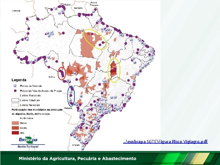 . . embrapa SGTEFigura Risco Vigiagro. pdf 