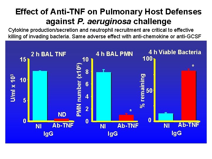 Effect of Anti-TNF on Pulmonary Host Defenses against P. aeruginosa challenge Cytokine production/secretion and