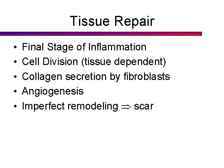 Tissue Repair • • • Final Stage of Inflammation Cell Division (tissue dependent) Collagen