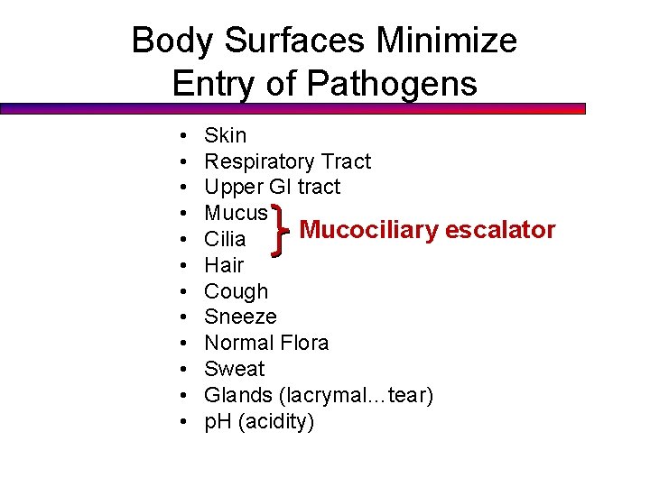 Body Surfaces Minimize Entry of Pathogens • • • Skin Respiratory Tract Upper GI