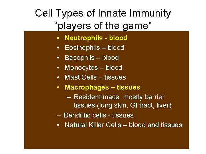 Cell Types of Innate Immunity “players of the game” • • • Neutrophils -