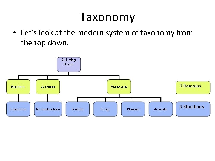 Taxonomy • Let’s look at the modern system of taxonomy from the top down.