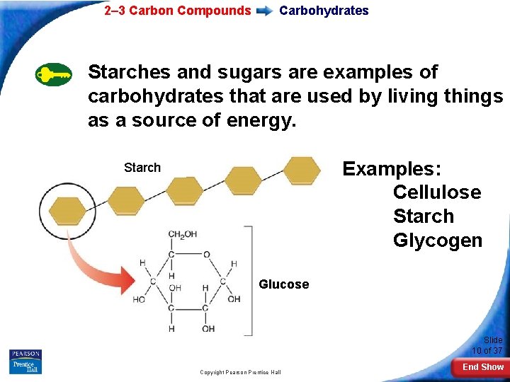 2– 3 Carbon Compounds Carbohydrates Starches and sugars are examples of carbohydrates that are