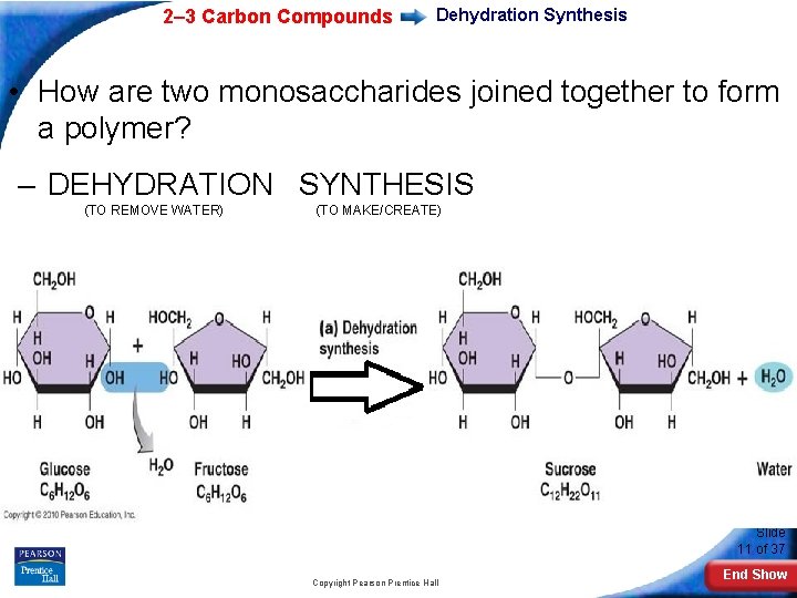 2– 3 Carbon Compounds Dehydration Synthesis • How are two monosaccharides joined together to