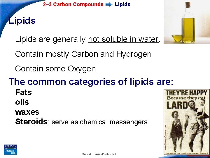 2– 3 Carbon Compounds Lipids are generally not soluble in water. Contain mostly Carbon