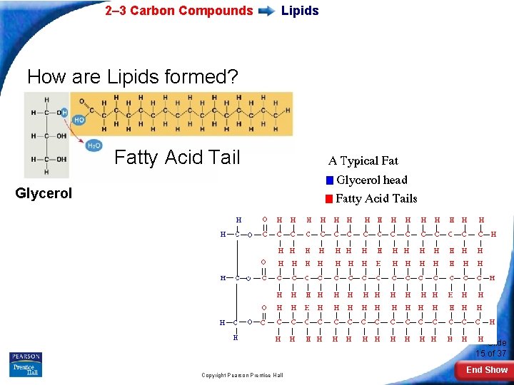 2– 3 Carbon Compounds Lipids How are Lipids formed? Fatty Acid Tail Glycerol Slide