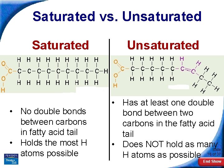 Saturated vs. Unsaturated Saturated • No double bonds between carbons in fatty acid tail