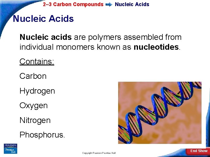 2– 3 Carbon Compounds Nucleic Acids Nucleic acids are polymers assembled from individual monomers