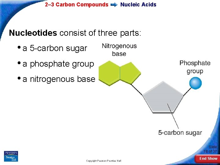 2– 3 Carbon Compounds Nucleic Acids Nucleotides consist of three parts: • a 5