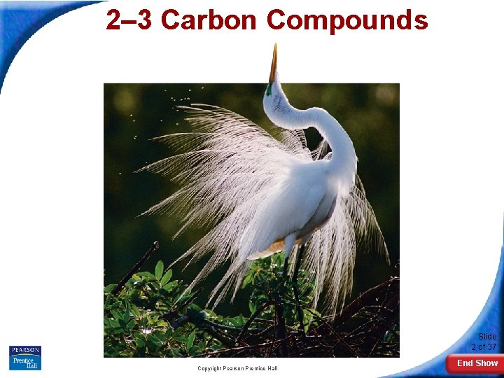 2– 3 Carbon Compounds Slide 2 of 37 Copyright Pearson Prentice Hall End Show