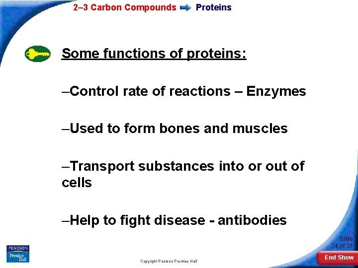 2– 3 Carbon Compounds Proteins Some functions of proteins: –Control rate of reactions –