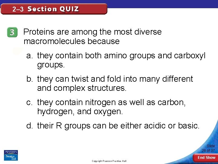 2– 3 Proteins are among the most diverse macromolecules because a. they contain both