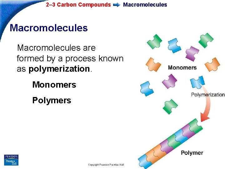 2– 3 Carbon Compounds Macromolecules are formed by a process known as polymerization. Monomers