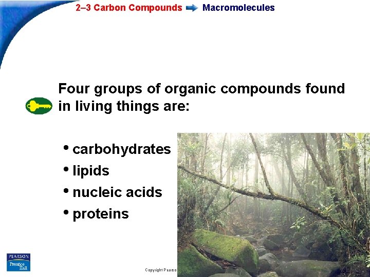 2– 3 Carbon Compounds Macromolecules Four groups of organic compounds found in living things