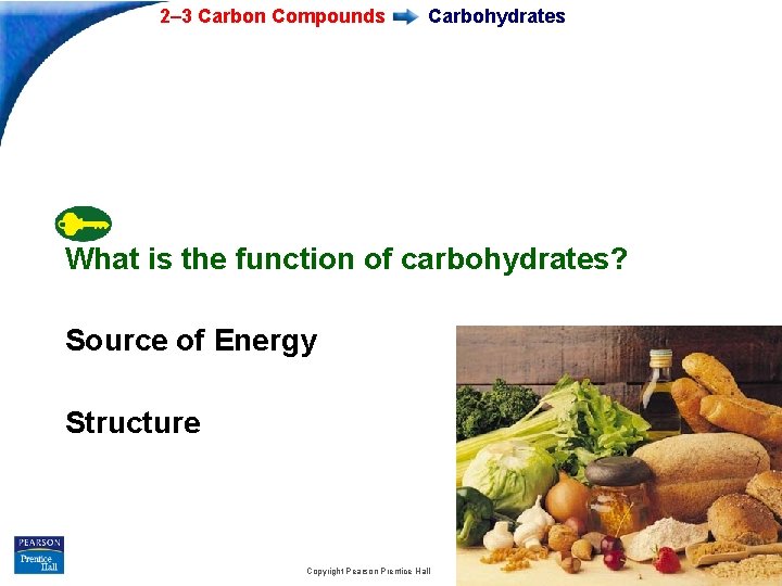 2– 3 Carbon Compounds Carbohydrates What is the function of carbohydrates? Source of Energy