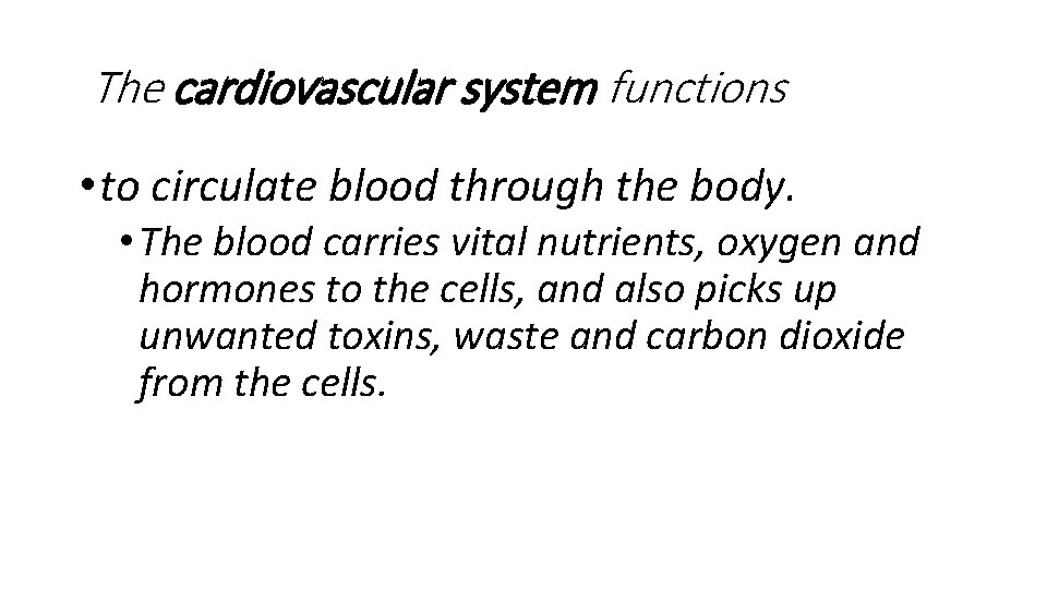 The cardiovascular system functions • to circulate blood through the body. • The blood