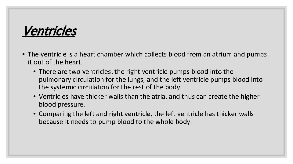 Ventricles • The ventricle is a heart chamber which collects blood from an atrium
