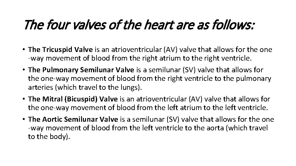 The four valves of the heart are as follows: • The Tricuspid Valve is