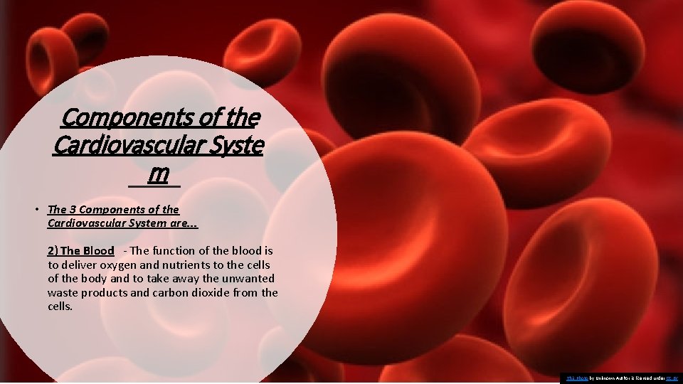 Components of the Cardiovascular Syste m • The 3 Components of the Cardiovascular System