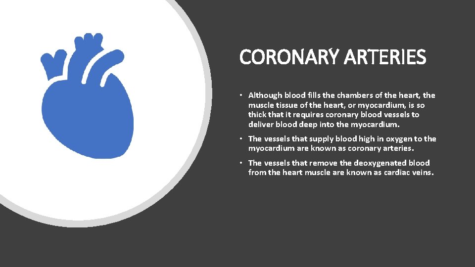 CORONARY ARTERIES • Although blood fills the chambers of the heart, the muscle tissue