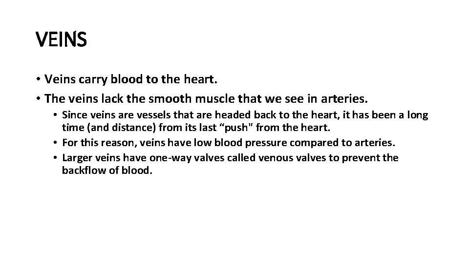VEINS • Veins carry blood to the heart. • The veins lack the smooth