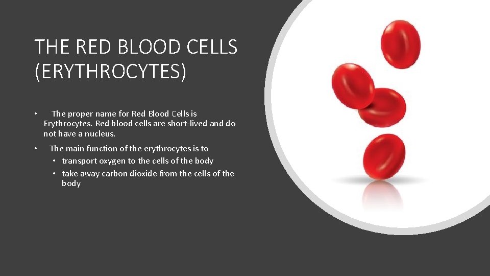 THE RED BLOOD CELLS (ERYTHROCYTES) • The proper name for Red Blood Cells is